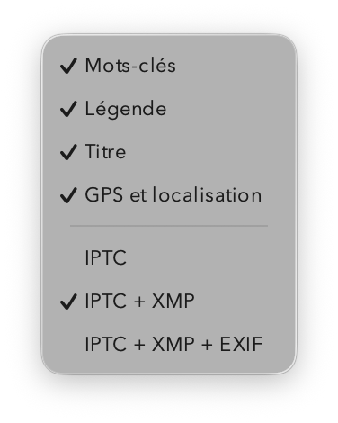 Options de nettoyage des métadonnées IPTC, XMP et EXIF dans IconoTagger