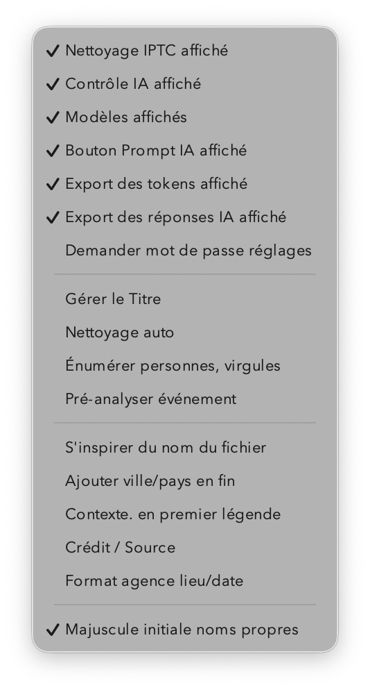Options d’indexation personnalisés dans IconoTagger